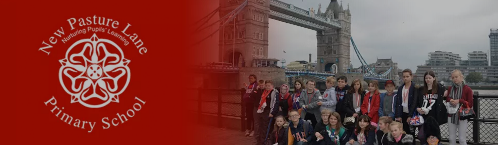 New Pasture Lane Primary